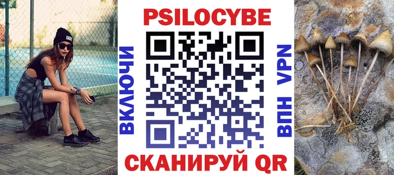mega tor  Апрелевка  Псилоцибиновые грибы GOLDEN TEACHER  что такое  